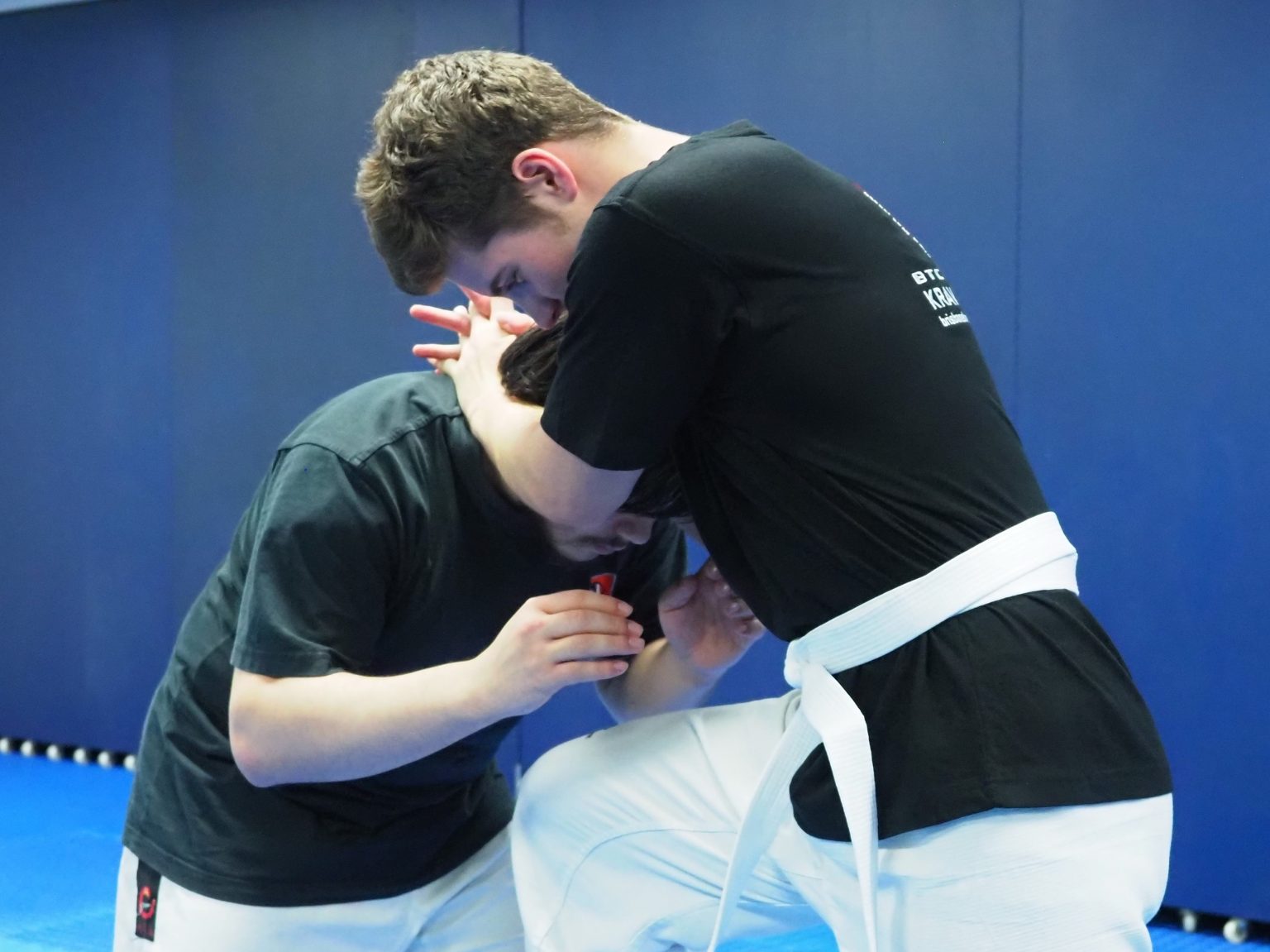 Mixed Martial Arts | Brisbane Martial Arts